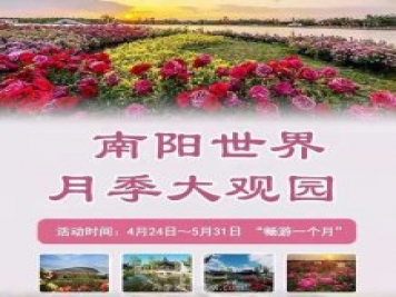第十二届南阳月季花会4月29日开幕，活动丰富多彩