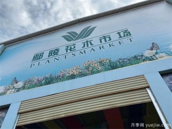 鄢陵县花木产业未必能想到的那些问题