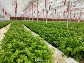 河南邓州循环农业大赚生态钱
